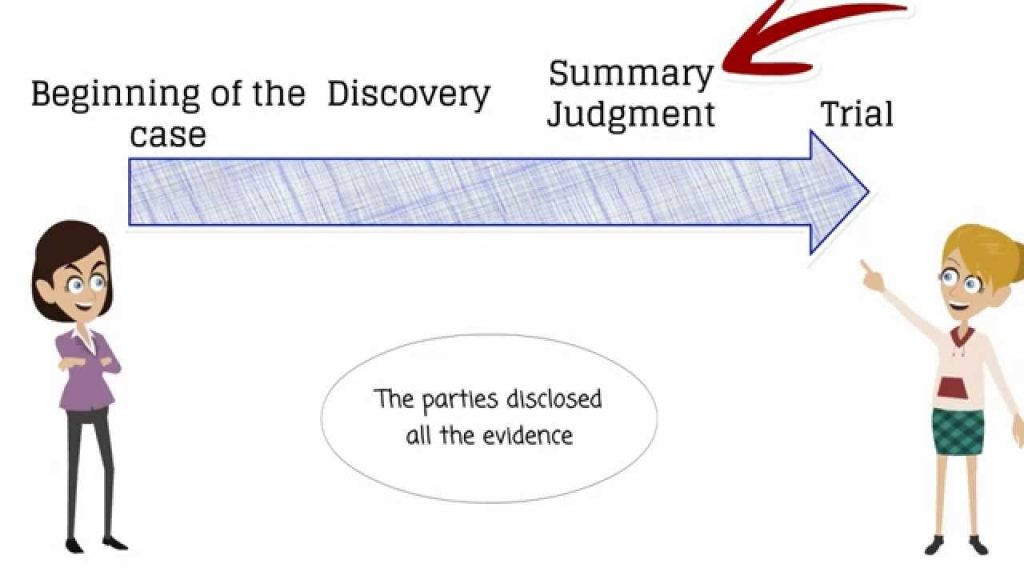 what-is-summary-judgement-the-law-cases