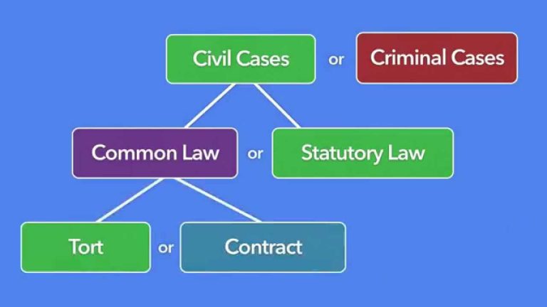 What Is Tort Law? Types, Example And More - The Law Cases