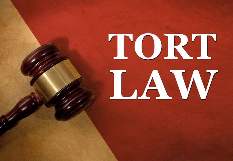 What Is Tort Law? Types, Example And More